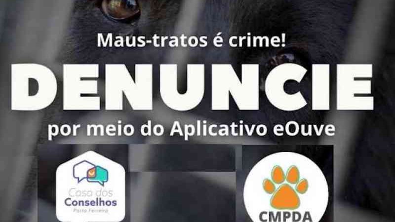Conselho Municipal de Proteção Animal de Porto Ferreira (SP) cria redes sociais e inicia conscientização