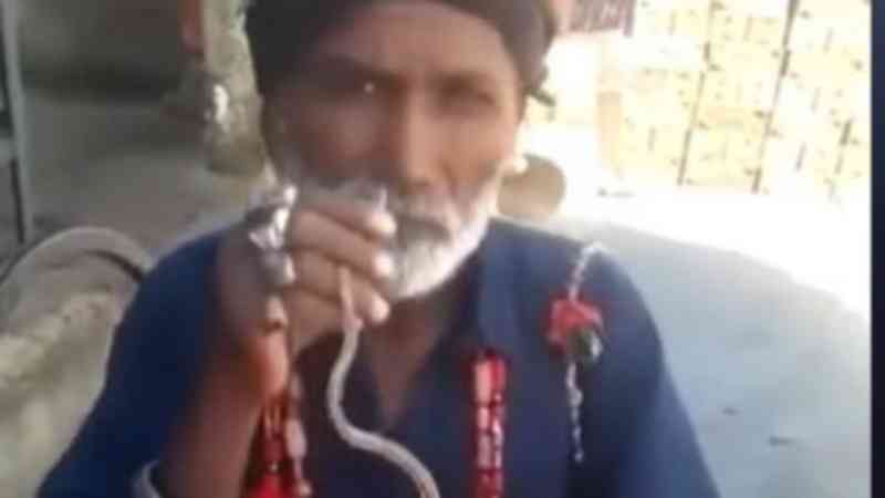 Vídeo: Homem enfia cobra no nariz e retira pela boca; web aponta maus-tratos