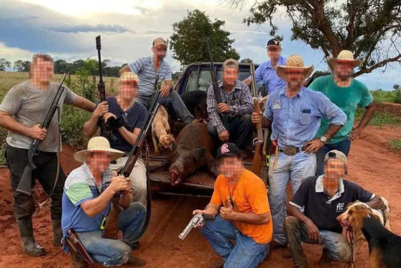 Caçadores ilegais: brasileiros compartilham dicas de caça e venda de armas no Facebook