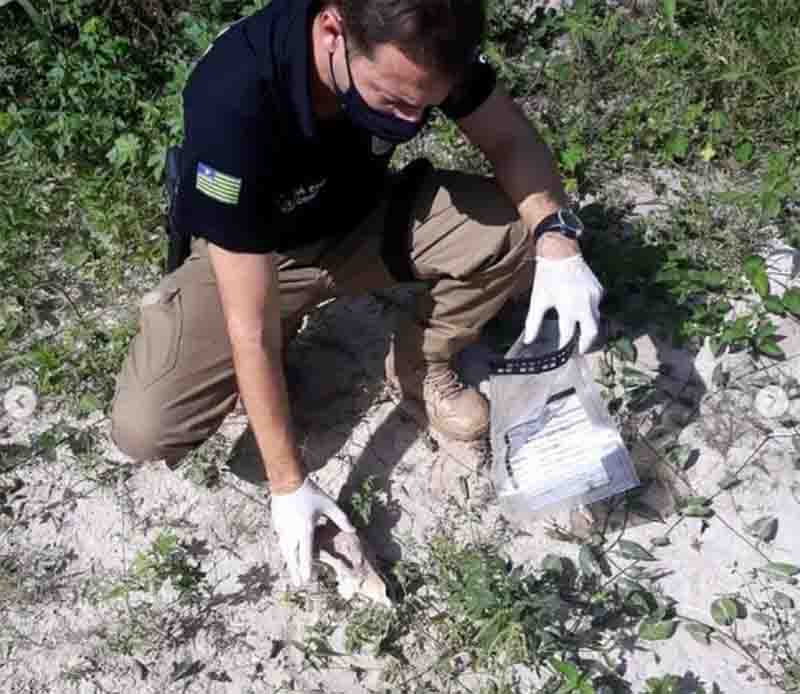 Polícia apreende e solicita perícia de ossadas de cães após denúncia de eletrocussão em Barras, PI