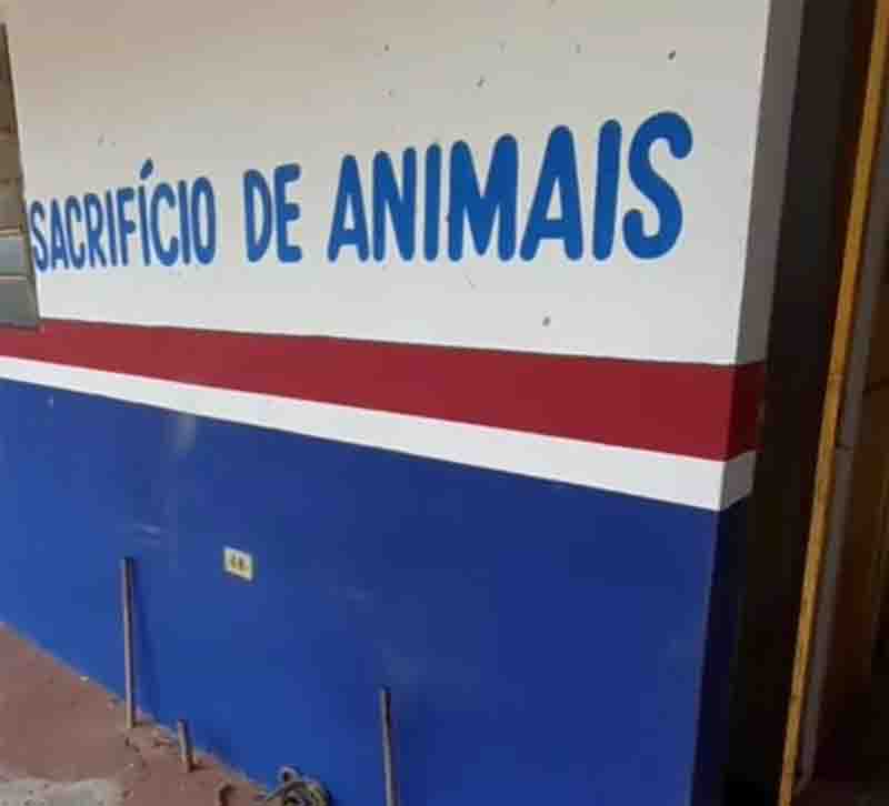 Local para sacrifício de animais em Barras. Foto: Reprodução/Barras é Notícia 
