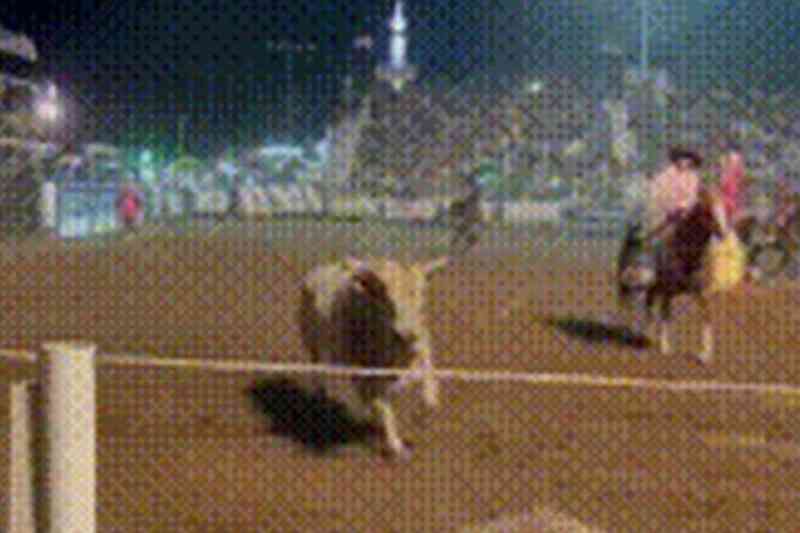 VÍDEO: Touro invade estádio, arrasta homem e persegue jogadores