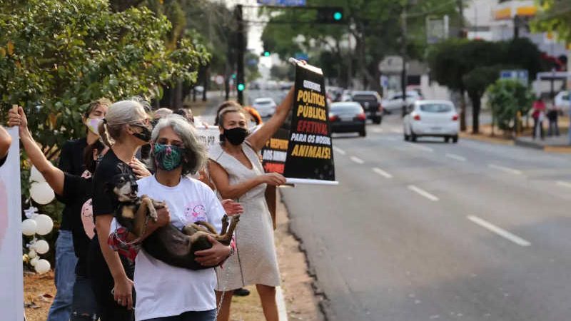 Ativistas protestam por centro de acolhimento animal em Campo Grande, MS