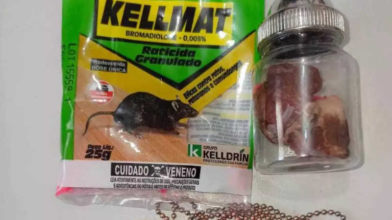 Homem camuflava veneno de rato em carne para matar animais do vizinho em MS