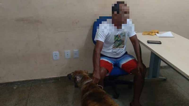 Idoso é preso suspeito de estuprar cadela de estimação, em Oriximiná, PA