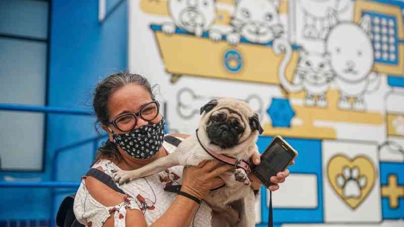 Hospital Veterinário do Recife (PE) abre mil vagas para castrações gratuitas de cães e gatos