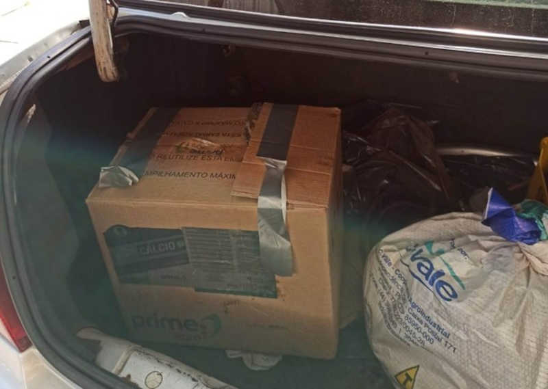 Casal é preso suspeito de maus-tratos por manter cachorro em caixa dentro de porta-malas de carro, em Umuarama, PR