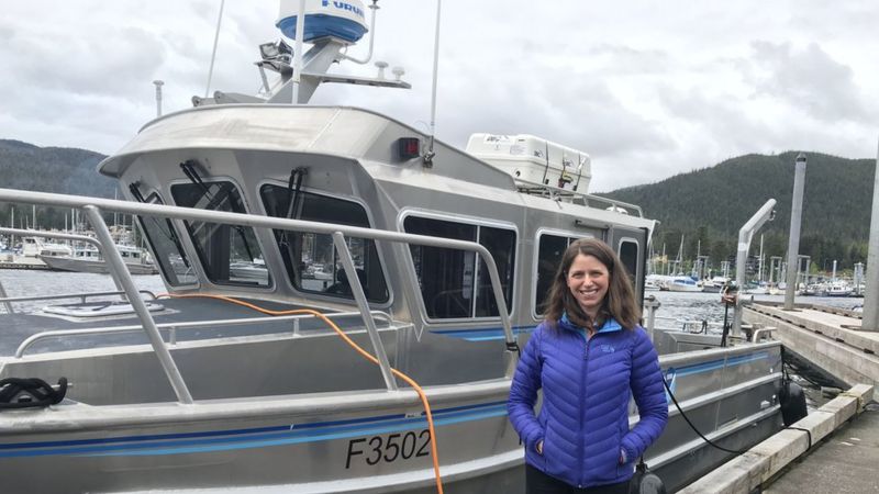 Pearson está pesquisando a saúde das baleias em Juneau