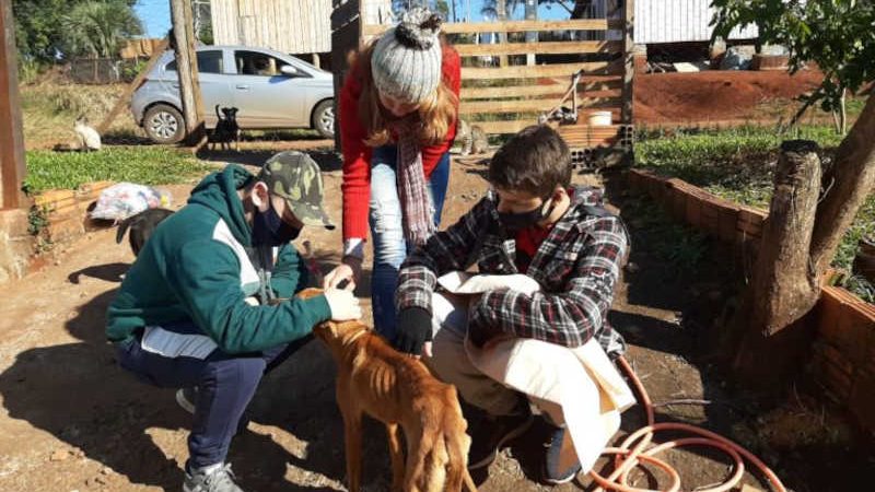 Escola de Mato Leitão (RS) resgata cachorro e desenvolve projeto sobre cuidado aos animais