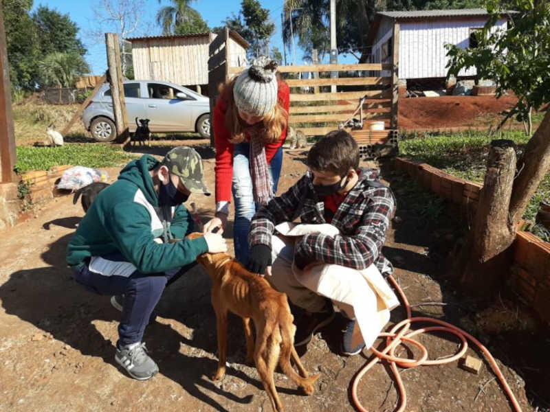 Escola de Mato Leitão (RS) resgata cachorro e desenvolve projeto sobre cuidado aos animais