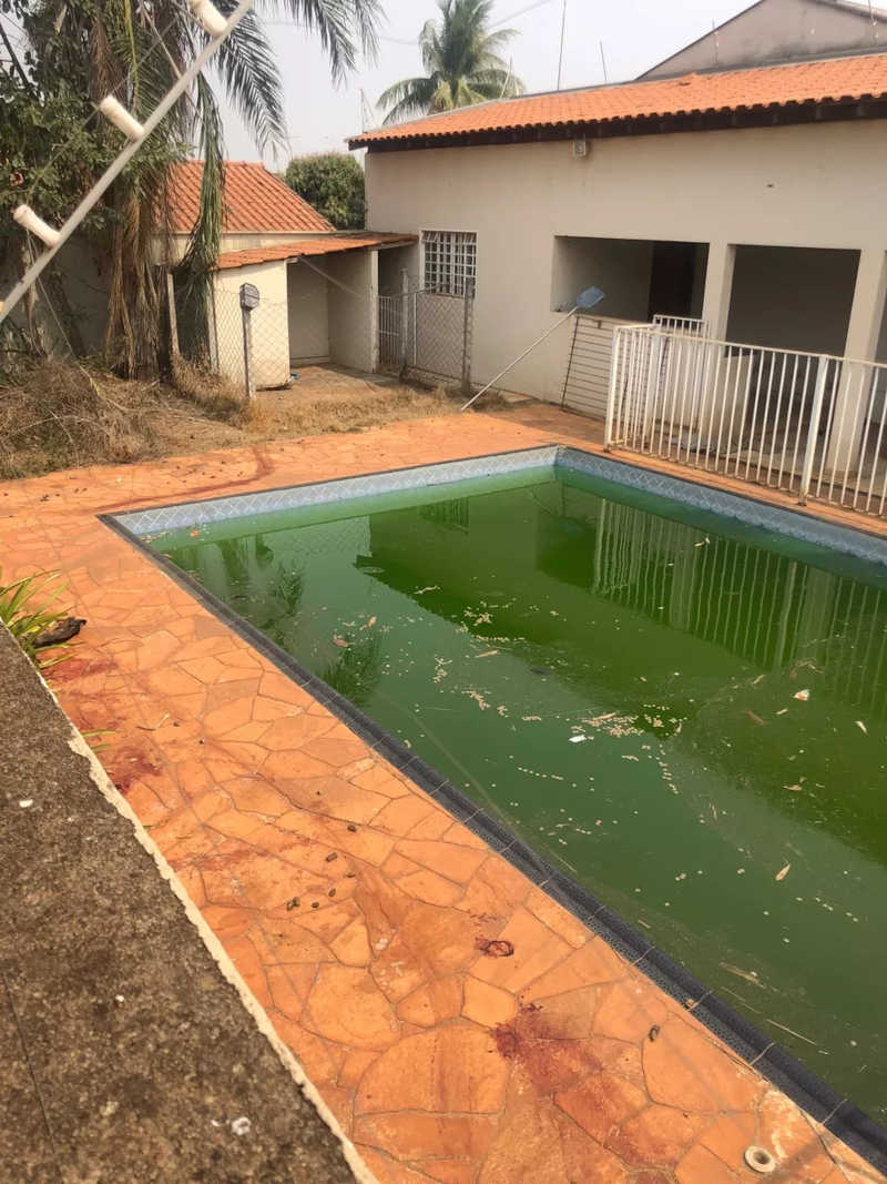 Animais também foram encontrados ao lado de piscina suja em Birigui — Foto: Arquivo pessoal