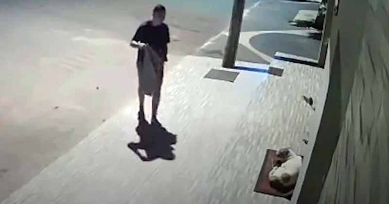 Homem é filmado cobrindo cachorro que tremia de frio na rua