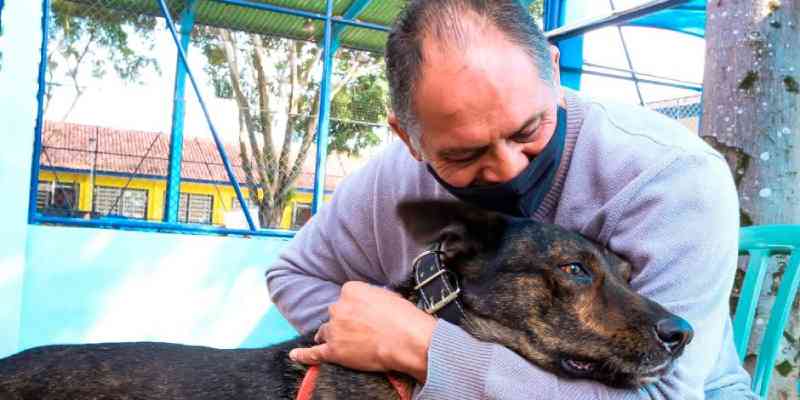 São José dos Campos (SP) abre 1.000 vagas para castração de cães e gatos