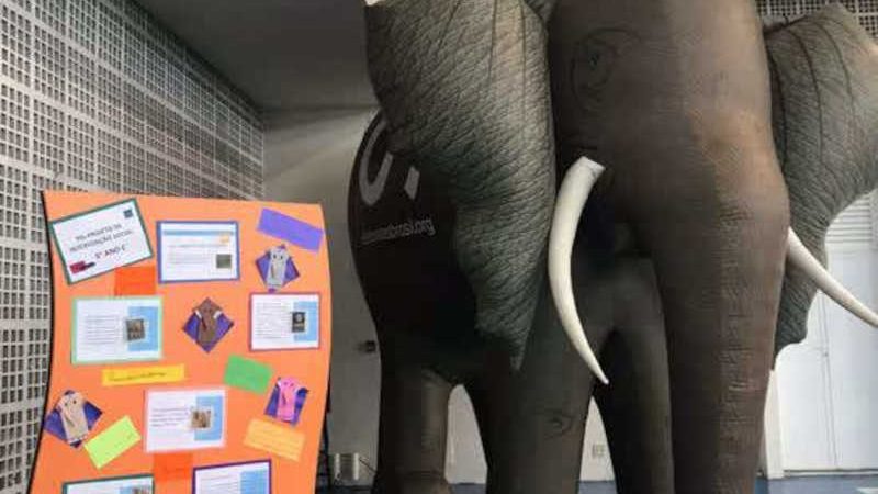 Estudantes promovem ações de conscientização sobre a exploração de animais silvestres em SP