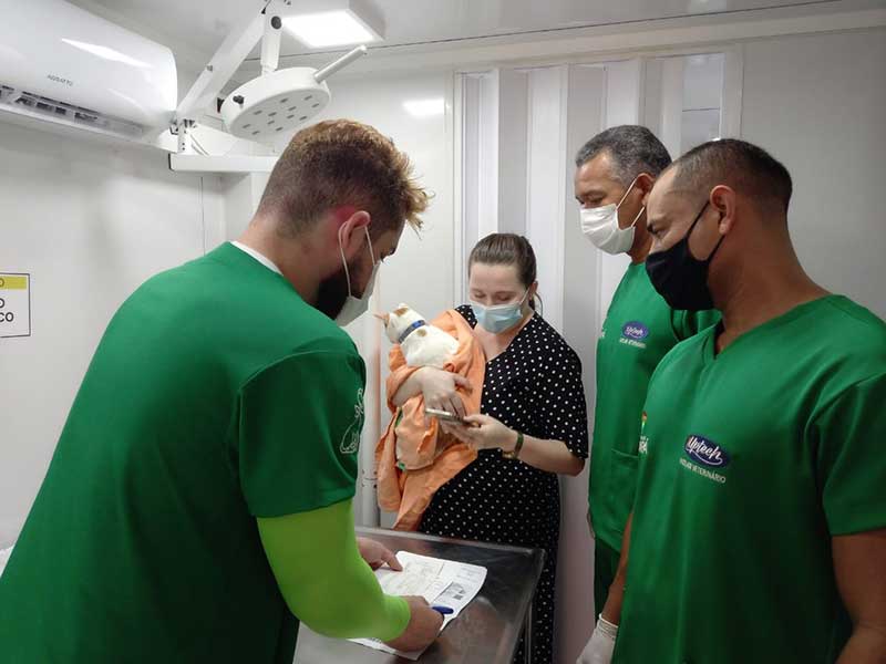 Castramóvel em Macapá (AP) inicia oferta gratuita de exames pré-cirúrgicos para cães e gatos