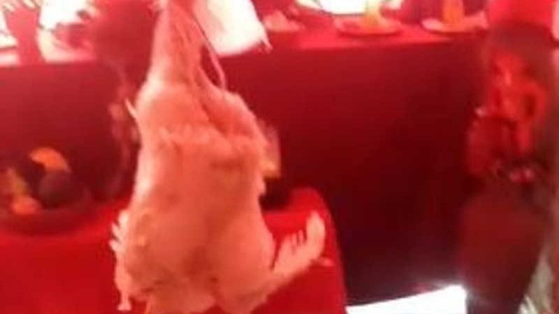 Homem aparece em vídeo rodopiando galinhas e falando insultos contra os animais que estão pendurados pelos pés. — Foto: Reprodução