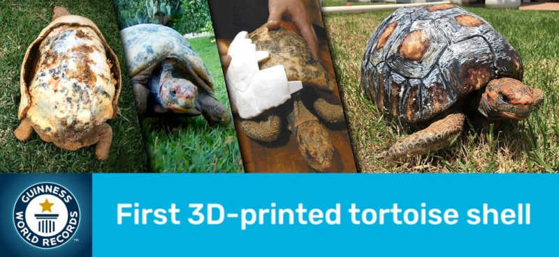 Projeto de designer 3D entrou para o 'Guinness Book', edição 2022 — Foto: Divulgação