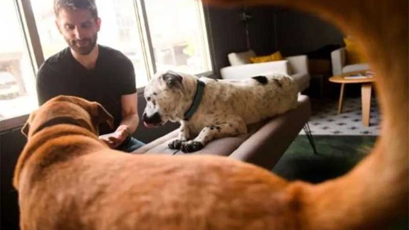 Rich Kelleman testa comida com seu cão, Rumples, e o de um amigo em Boulder, Colorado afp_tickers