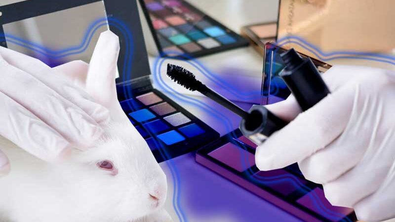 Testes de cosméticos em animais ainda acontecem, apesar das proibições