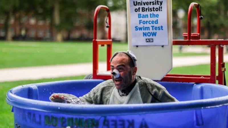 ‘Homem-rato’ é visto se debatendo em tanque de água durante protesto contra testes em animais da Universidade de Bristol