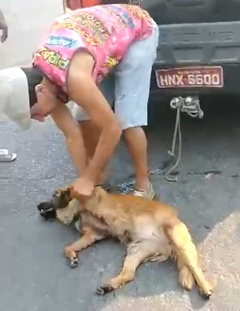 Homem é preso após arrastar cachorrinha amarrada no reboque de carro na Grande BH; VÍDEO