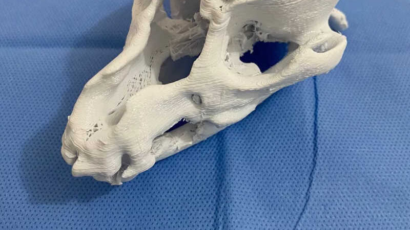 Impressora 3D produz ossos de animais e aperfeiçoa cirurgias em hospital veterinário da Universidade Federal de Campina Grande, PB