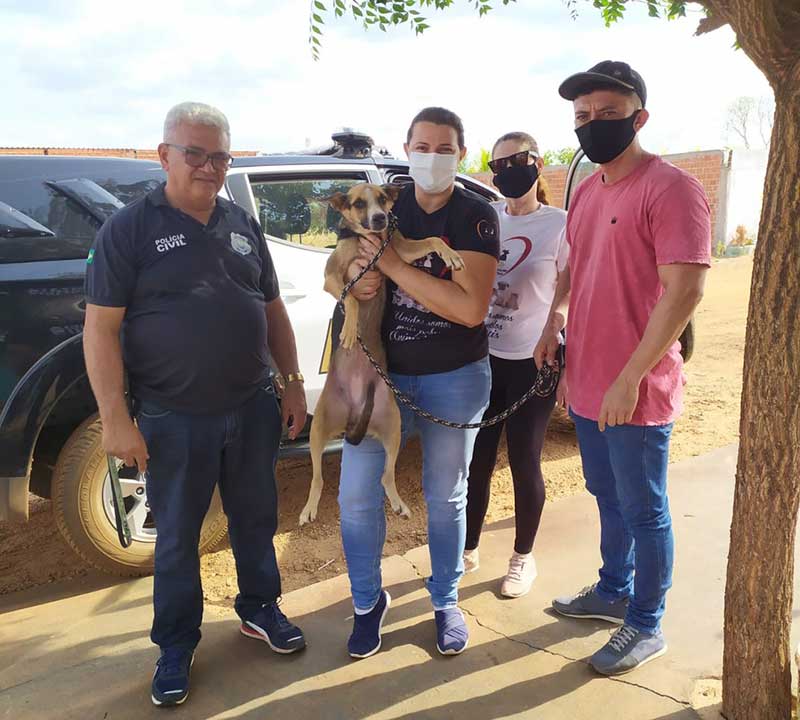 Cadela é resgatada após sofrer zoofilia em bar no sul do Piauí; caso é investigado pela polícia