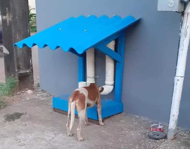 Comedouro e bebedouro para animais de rua em Porto Velho — Foto: Redes Sociais/Reprodução