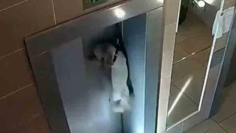 Cão fica pendurado na porta de elevador após a tutora esquecê-lo do lado de fora