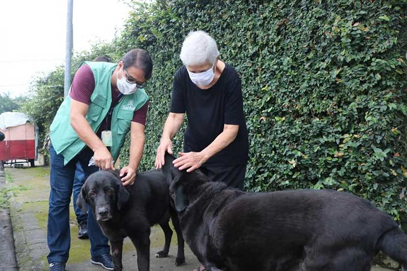 Cães em Santos (SP) recebem proteção contra leishmaniose visceral