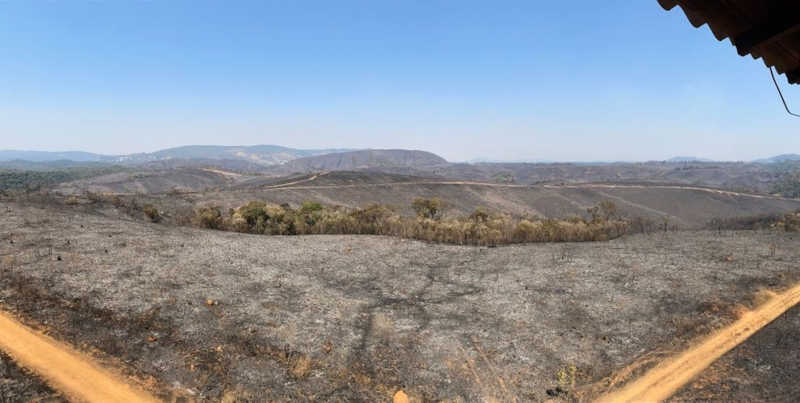Parque Florestal do Juquery após incêndio que queimou vegetação do cerrado — Foto: Divulgação/Polícia Militar Ambiental