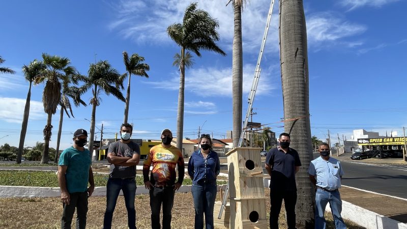 Prefeitura de Jales (SP) instala ninhos artificiais em palmeiras