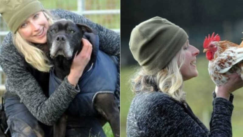 Mulher abre asilo animal para cuidar de pets idosos terminais na Suécia