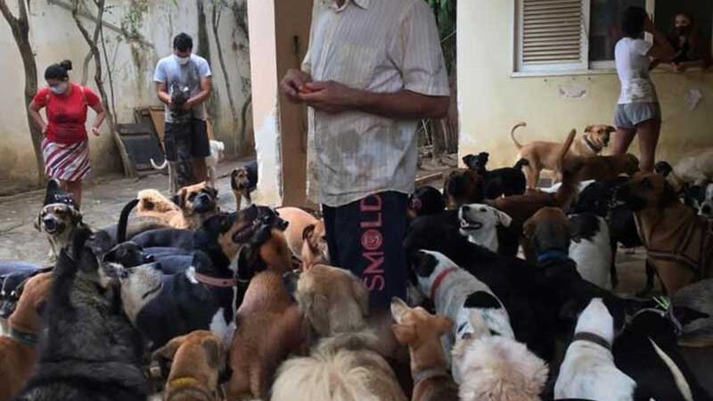 Há 10 dias sem comer, dono de abrigo faz greve de fome a favor dos animais em Maceió, AL