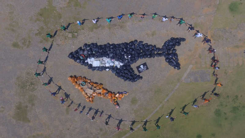 O lixo e a poluição dos mares ameaçam a vida das jubartes e demais animais marinhos — Foto: Divulgação/Amigos da Jubarte