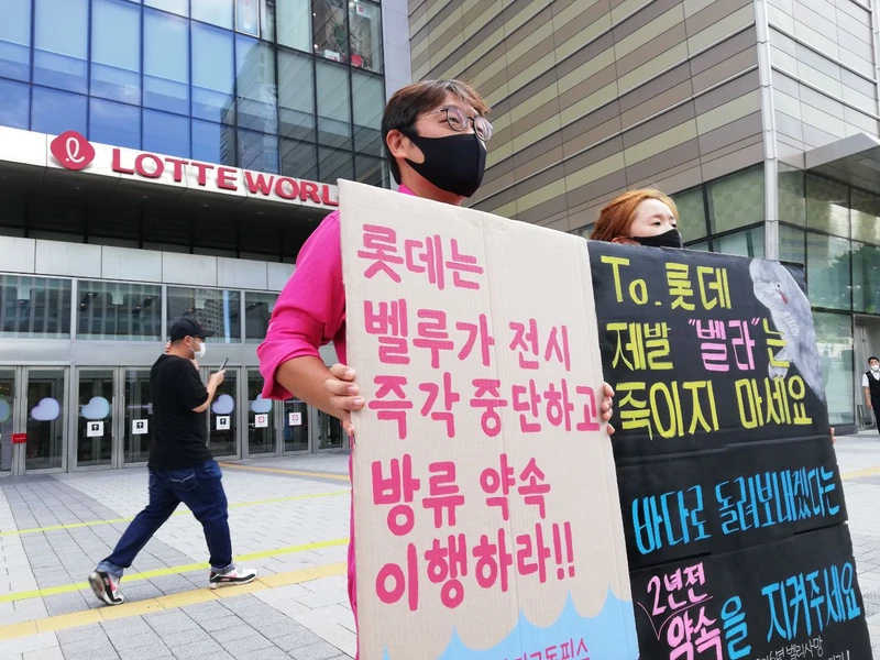 Ativistas do grupo coreano dos direitos dos animais marinhos HOT PINK DOLPHINS fazem um protesto fora do aquário de Bella, em Seul. Foto: cortesia Hot Pink Dolphins