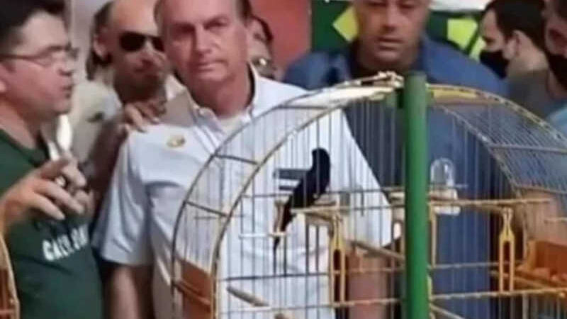Bolsonaro vai a competição de pássaros em extinção