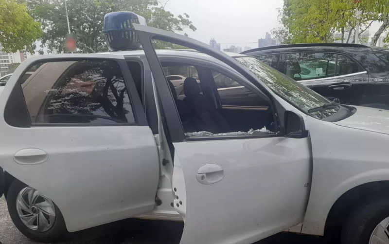 Trabalhadores quebram vidro de carro para resgatar cadela que ficou trancada por horas, em Goiânia, Goiás — Foto: Arquivo pessoal