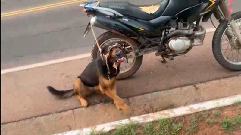 Motociclista que arrastava cachorro pela rua é preso em flagrante pela PM em Cuiabá, MT