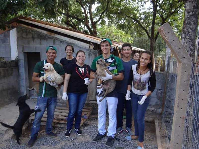 Em ‘trote do bem’, calouros da UFMT arrecadam doações para ajudar ONGs que resgatam animais das ruas de Cuiabá