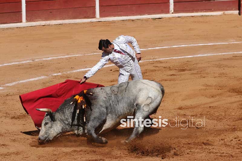 Discussão sobre proibição de touradas e brigas de galo será retomada no México