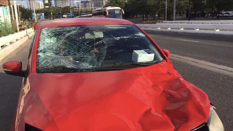 Cavalo é atropelado e morto por carro no viaduto em Joana Bezerra, no Recife, PE