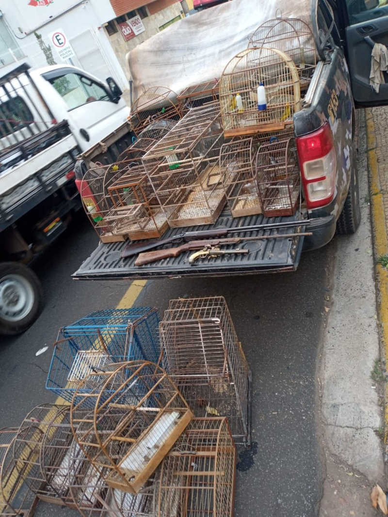 Homem é multado em R$ 57,6 mil por maus-tratos de 48 animais em Piracicaba, SP