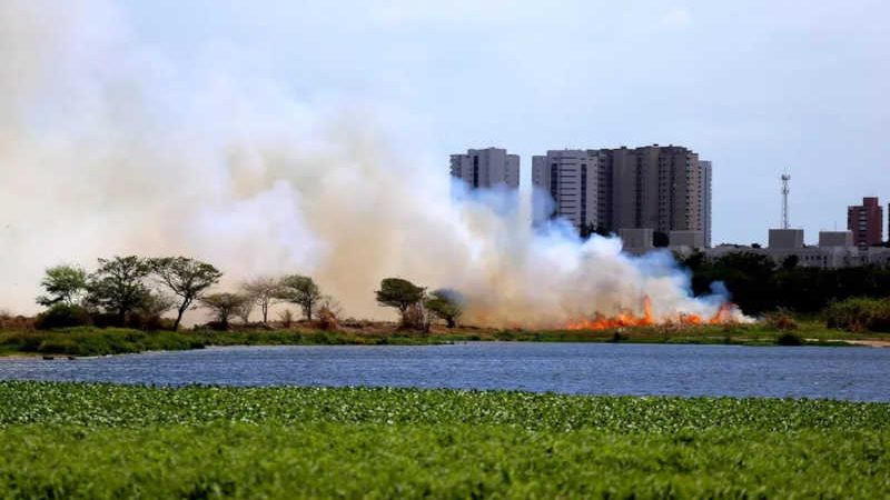 Incêndio no Parque do Cocó: Camilo determina apuração rigorosa sobre causa do fogo em área ecológica de Fortaleza