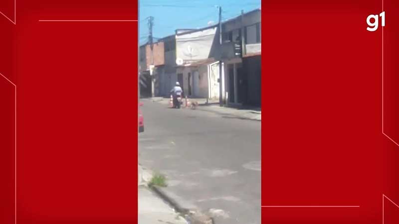 Socorrista filma motociclista arrastando cachorro que levava para vacinação antirrábica, em Fortaleza, CE; vídeo