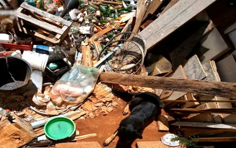 Homem é preso após cadela ser encontrada amarrada em meio ao lixo e sem comida, em Anápolis, GO