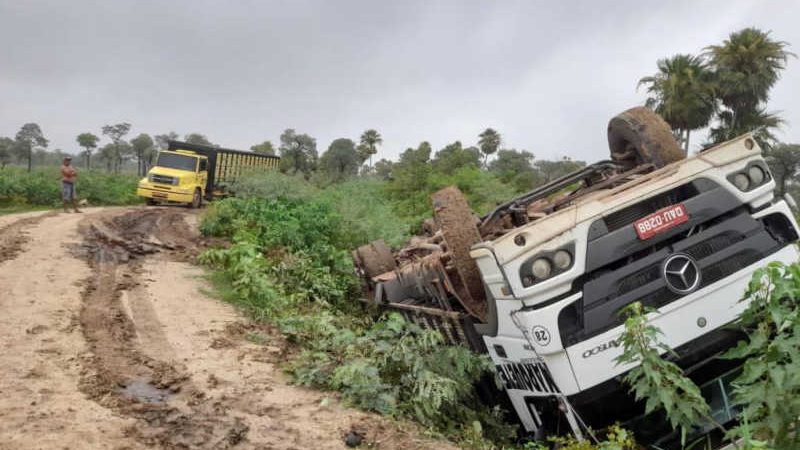 Bois morrem em acidente com caminhão no Pantanal; vídeo