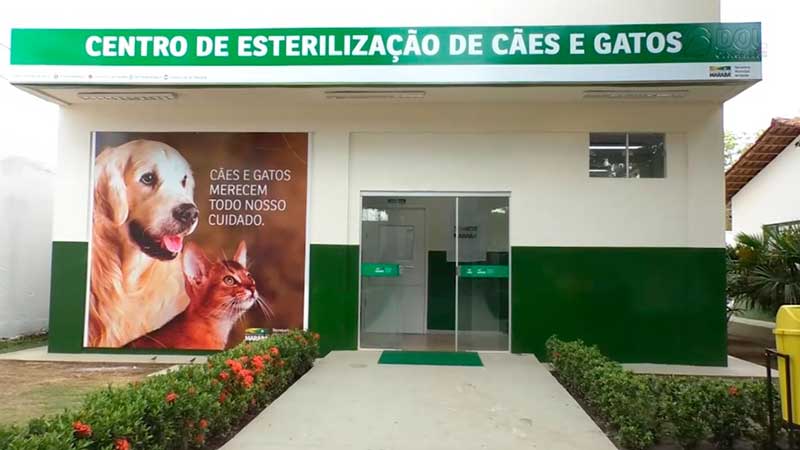 Vídeo: Marabá ganha Centro de Castração de cães e gatos