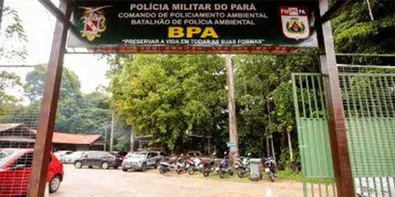 Cachorro é baleado por segurança de empresa privada no Pará; polícia investiga o caso