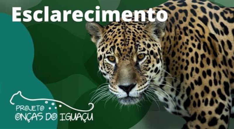 Projeto Onças do Iguaçu emite nota sobre caso no Parque das Aves